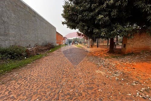 Tinglado a metros de avelino martinez — foto 2
