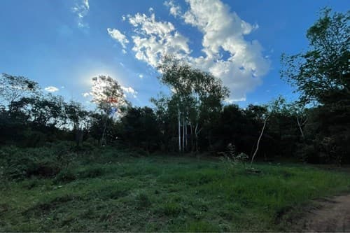 Terreno en san juan del parana — foto 2