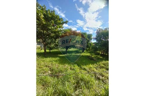 Terreno en Limpio: Tu Inversión Ideal en Paraguay — foto 3