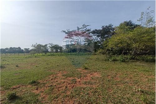 Campo de 8 hectáreas con arroyo en San Estanislao — foto 4