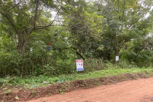 Terreno Ideal en Altos: ¡Tu Casa de Ensueño! — foto 1