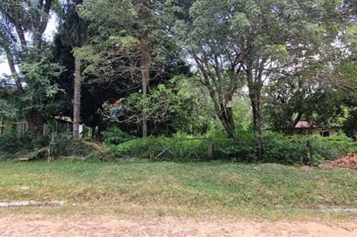Terreno en villa florida — foto 5