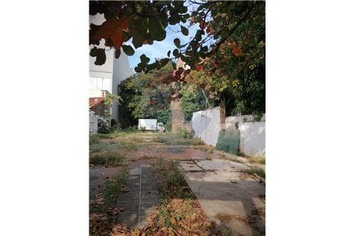 Vend terreno en asuncion –Villa Morra 550m2 — foto 3