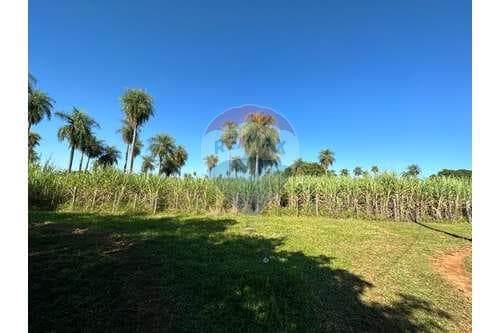 Terreno en Venta en Itaugua 6.250 m2 — foto 5