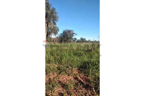 60 Hectareas de tierra!!! — foto 3