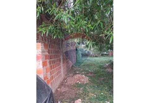 Terreno en Lambaré – ubicación estratégica — foto 4
