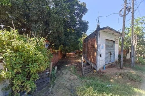 Terreno en Ñemby, desvío Ñemby - san antonio — foto 3