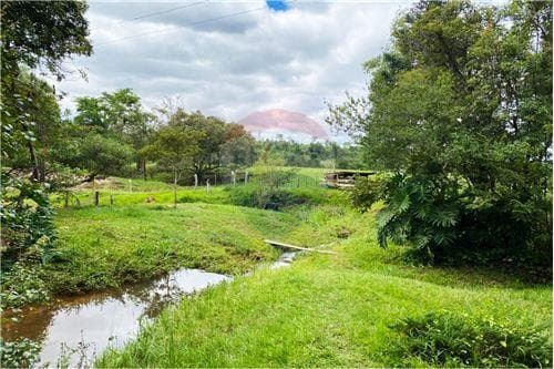 Estancia Ganadera en Trinidad Itapua