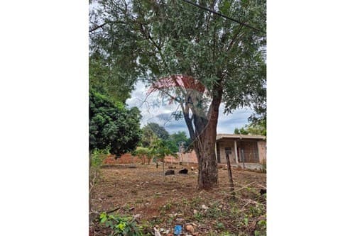 Terreno Ideal para Construir en Capiatá — foto 3