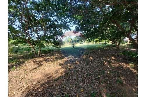 Amplio terreno en itauguá a precio de oferta — foto 5