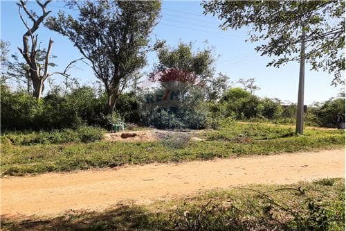 Terreno en Luque-aregua — foto 4