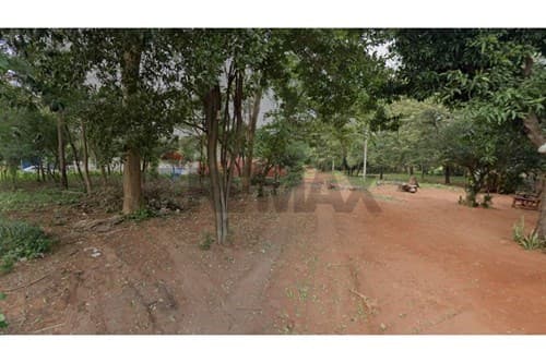 Terreno en Villa Elisa — foto 3