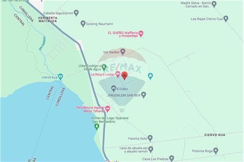 3 lotes juntos - Ciervo Cua San Bernardino — foto 2
