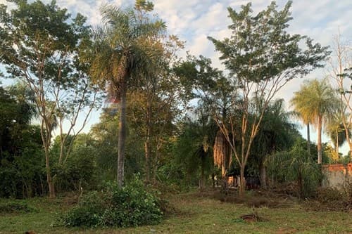 terreno 12x30, Itauguá a cuadras de ruta 2 — foto 4