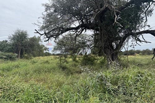 Terreno comercial en venta — foto 3