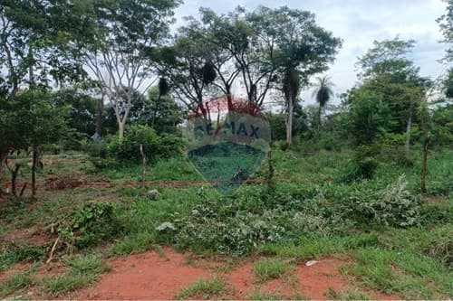 Terreno en la ciudad de Luque cañada garay — foto 4