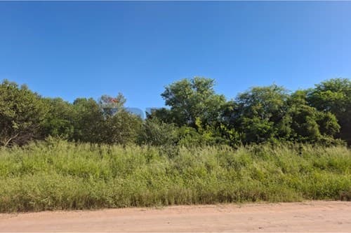Terreno en Filadelfia en venta — foto 4