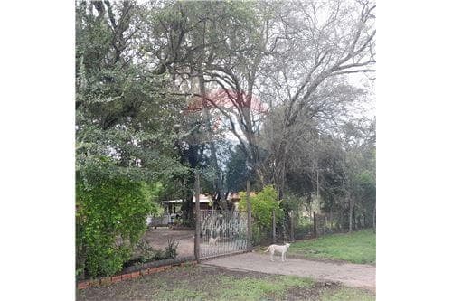 Terreno chacoi. Ubicacion perfecta — foto 3