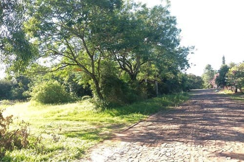 Terreno 2000m² en Coronel Bogado, ¡Ideal para Ti!, foto 3