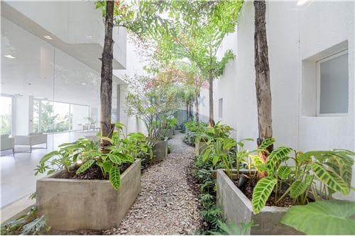 3 habitaciones + servicio en pueblo del rio — foto 4