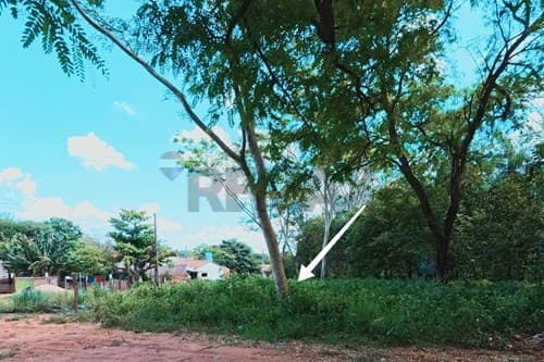 En venta dos amplios terrenos en ypane — foto 2