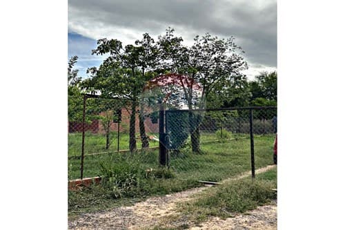 Terreno + Vivienda en Zona Comercial Filadelfia — foto 3