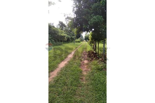 En venta 6 hectareas en itacurubi de la cordillera — foto 4