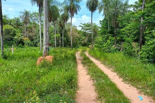 Terreno en venta - piribebuy — foto 5