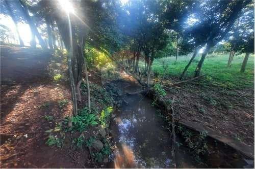 Campo de 3.8 hectareas en venta — foto 3