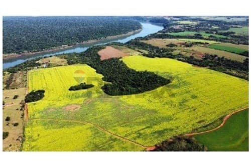 18 hectáreas a 700 metros del Río Paraná, foto 5