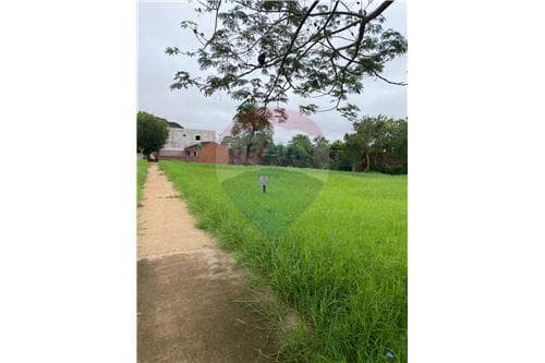 Terreno sobre asfalto — foto 1