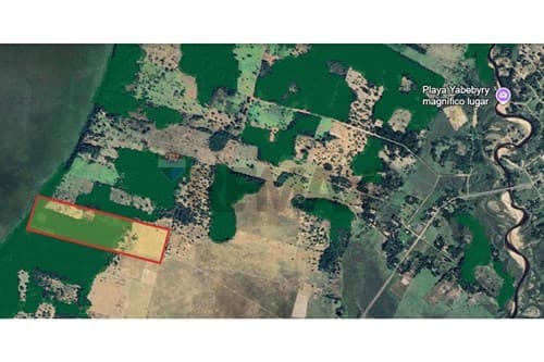 Vendo campo de 25 ha-ayolas, misiones