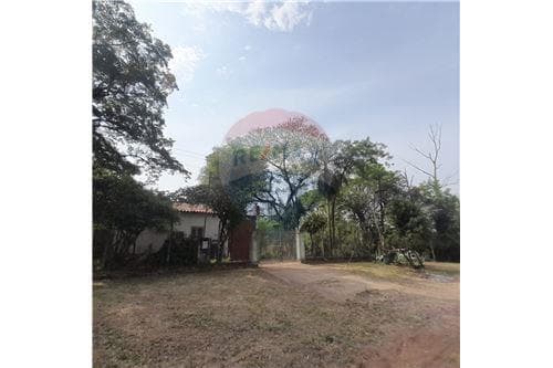 Terreno en villa hayes, foto 4