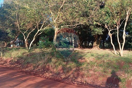 Terrno en jose domingo ocampos — foto 2