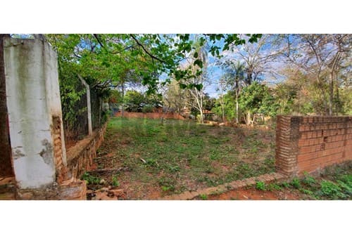 Terreno en Luque, foto 3