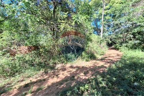 Excelente oportunidad, amplio terreno en Limpio — foto 4