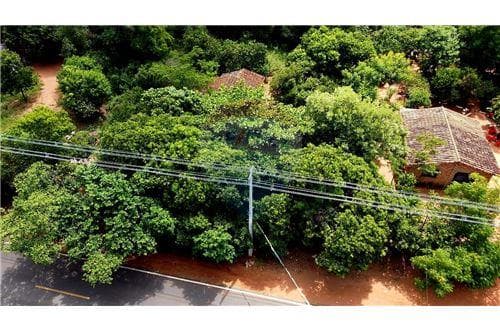 Terreno - Venta - Paraguay Cordillera NUEVA COLOMB