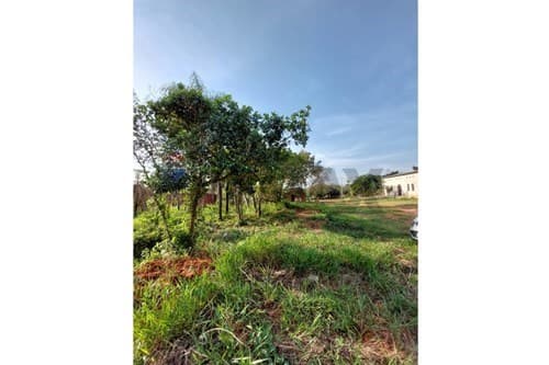 Vendo 3 terrenos en ypané