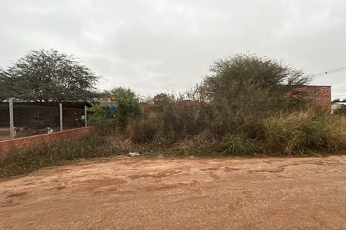 Terreno Comercial en Filadelfia, foto 2