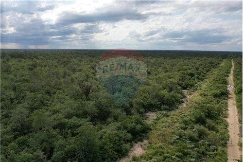 3.974 hectáreas de monte en bahía negra — foto 3
