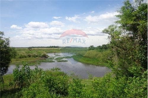 En venta campo de 540 has. En juan de mena — foto 4