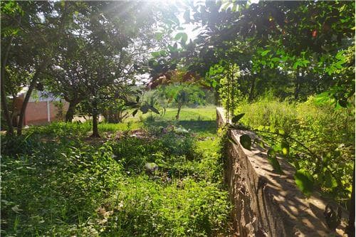 Hermoso Terreno en Julian Augusto Saldivar — foto 3