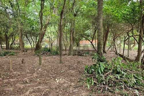 Terreno en San Bernardino fraccion los cocos — foto 2
