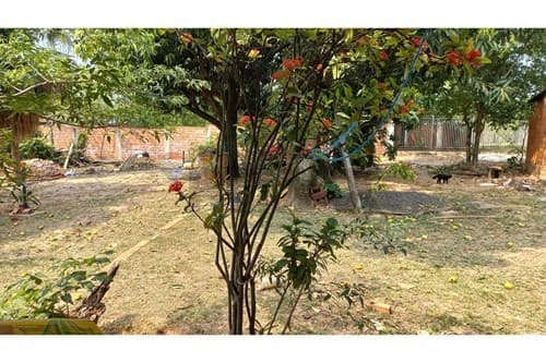 Terreno Ideal en Mariano Roque Alonso, ¡1.541 m²! — foto 5