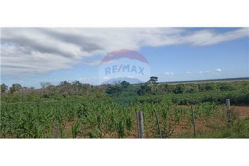 vendoTerreno de 70 hectáreas -MBUYAPEY-PARAGUARI — foto 2