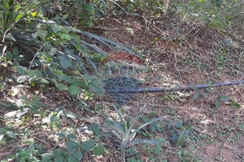 De terreno en pirayú costa hu — foto 4