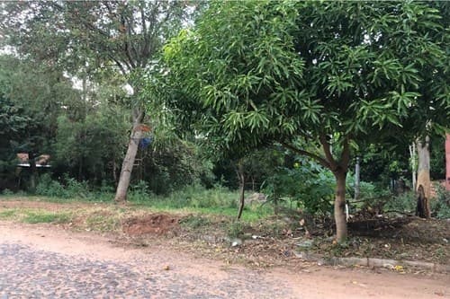 Terreno - Venta - San Lorenzo - Virgen del Rosario
