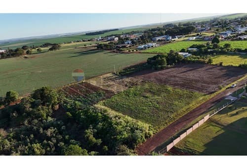 Terreno amplio en naranjal — foto 3