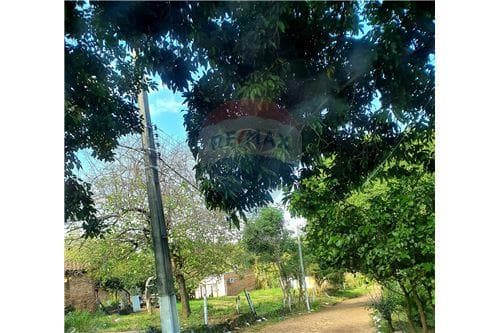 Terreno en venta en Caacupé, foto 4