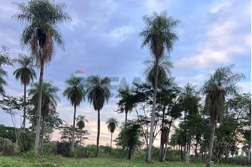¡Terreno Ideal para Inversión! 15 Lotes en Itauguá, foto 5